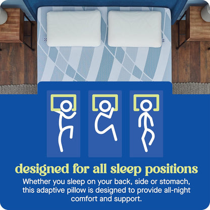Sealy Dreamlife Queen Size Memory Foam Cooling Pillow with Surface Guard Technology, Removable Machine-Washable Cover, 1 Year Limited Warranty, White (2 Pack)