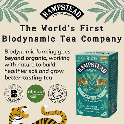 Hampstead Tea Organic Fairtrade, Fennel Liquorice Tea, 20 Count Sachet
