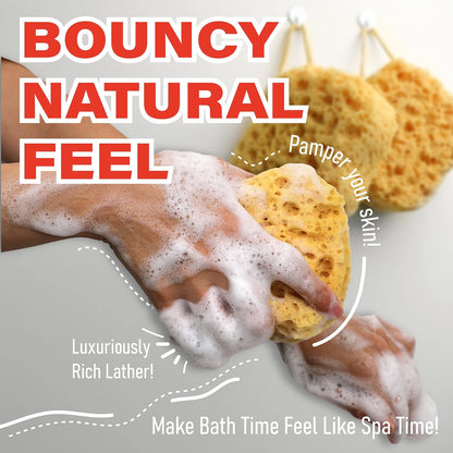 myHomeBody Bath Sponge, Foam Loofah, Body Scrubber for Bathing, Exfoliating Shower Pouf for Shower – Large Size, Lots of Lather, Curvy, 3 Pack