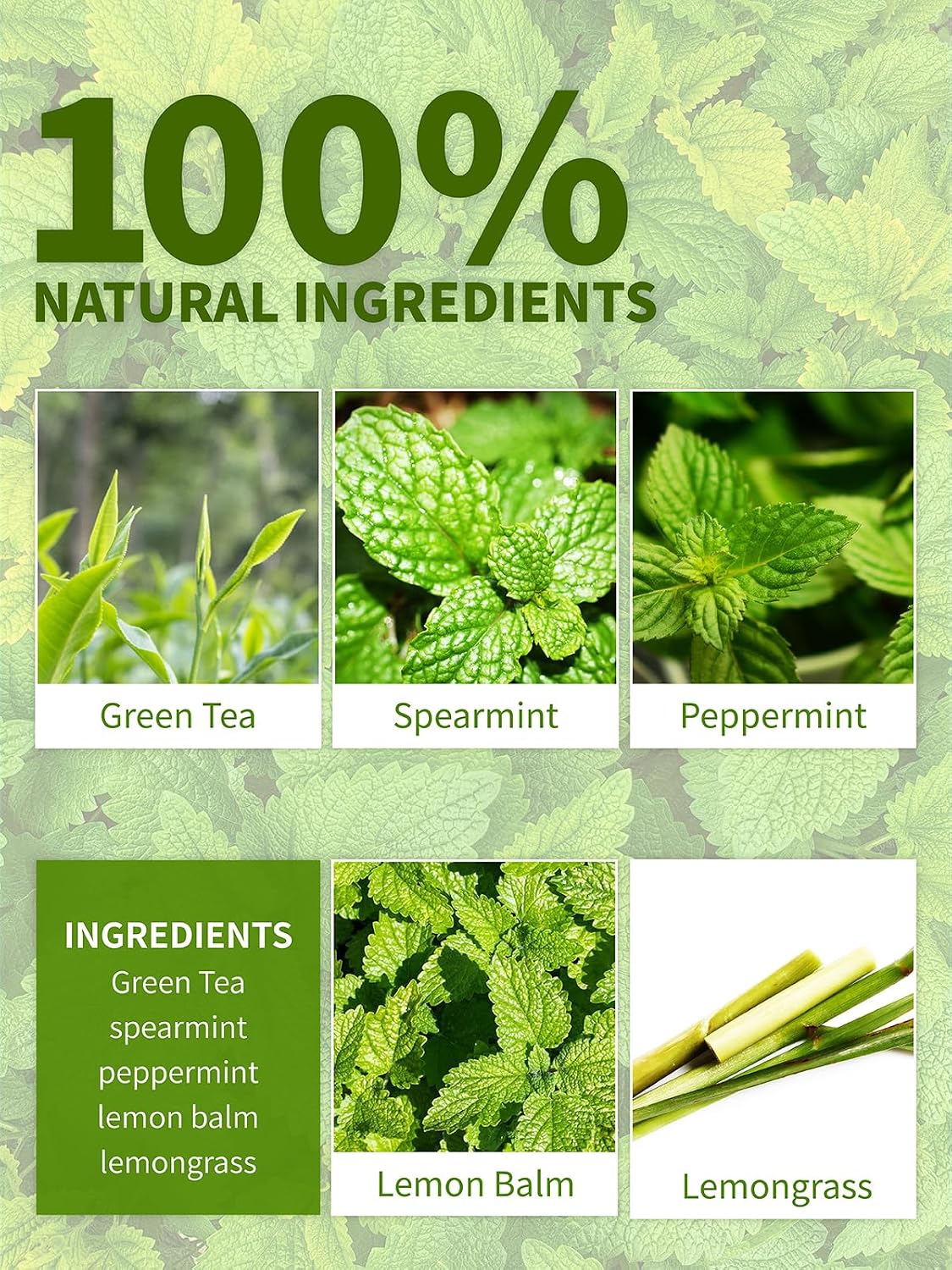 TeeLux Mint Green Tea Bags, Fresh & Smooth Taste, Refreshing Aroma, 50Count