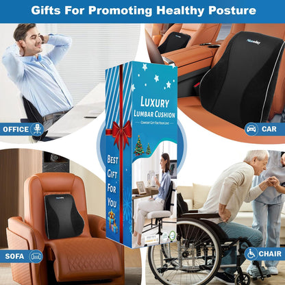 Niceeday Lumbar Support Pillow for Office Chair Car Back Support Pillow, Memory Foam Gaming Chair Desk Chair Back Cushion for Lower Back Pain Relief, Ergonomic Back Rest,Office Home Essentials