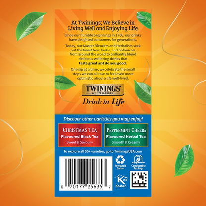 Twinings Winter Spice Herbal Tea Individually Wrapped, 20 Count (Pack of 6), Camomile, Apple, Cinnamon, & Clove, Caffeine-Free, Enjoy Hot or Iced, 120 Teabags