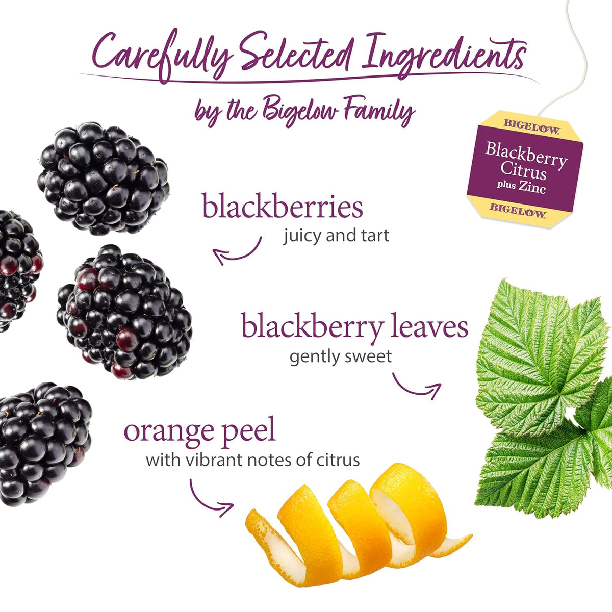 Bigelow Tea Blackberry Citrus Plus Zinc Herbal Tea, 18 Count (Pack of 6)