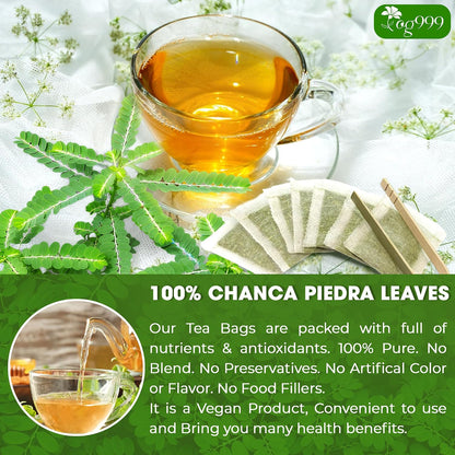 120 Bags Premium Turmeric Ginger Cinnamon Tea, Improve Digestion, Support Brain, Weight, Skin and Sleep, Eco-Conscious Tea Bags and Premium Natural Ingredients. Turmeric Ginger Herbal Tea. No Sugar, No Caffeine, No Gluten, Vegan.