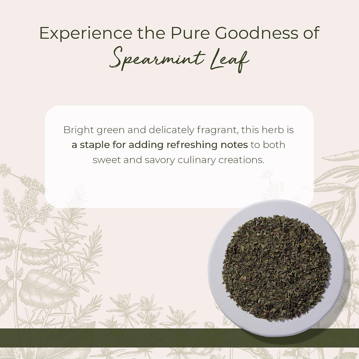 Starwest Botanicals Spearmint Leaves, Cut & Sifted - Bulk 1 lb Bag