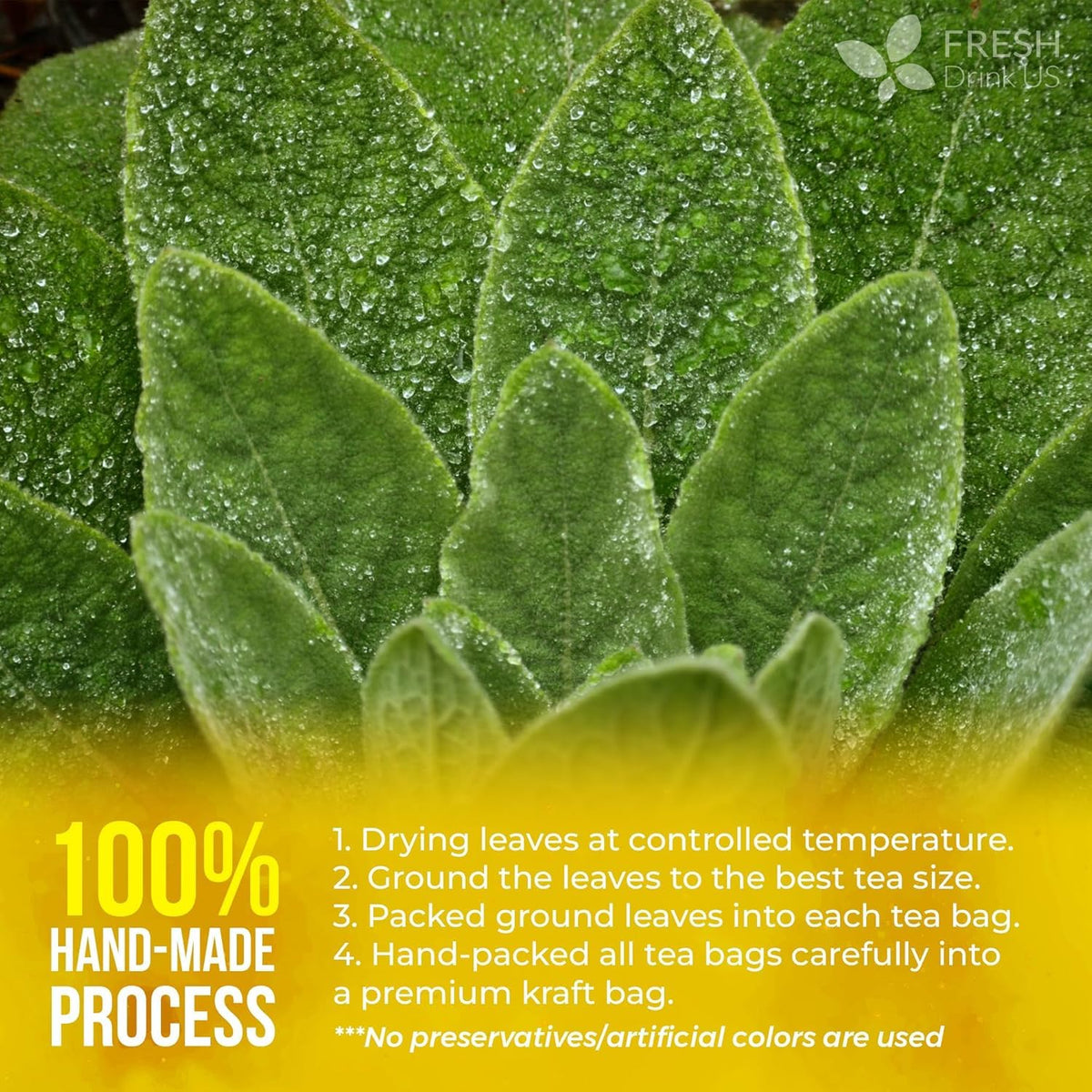 FreshDrinkUS, Premium Mullein Leaf Tea, 120 Count, Pure, Caffeine Free