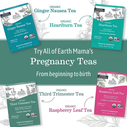 Earth Mama Organic Red Raspberry Leaf Tea | Labor Prep & Menstrual Support Herbal Tea, Pregnancy & Postpartum Care Recovery | 32 Teabags | Caffeine Free & Non-GMO