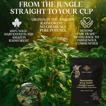 Stinging Nettle Tea Organic - Loose Leaf Nettle Tea - Ortiga Verde Organica