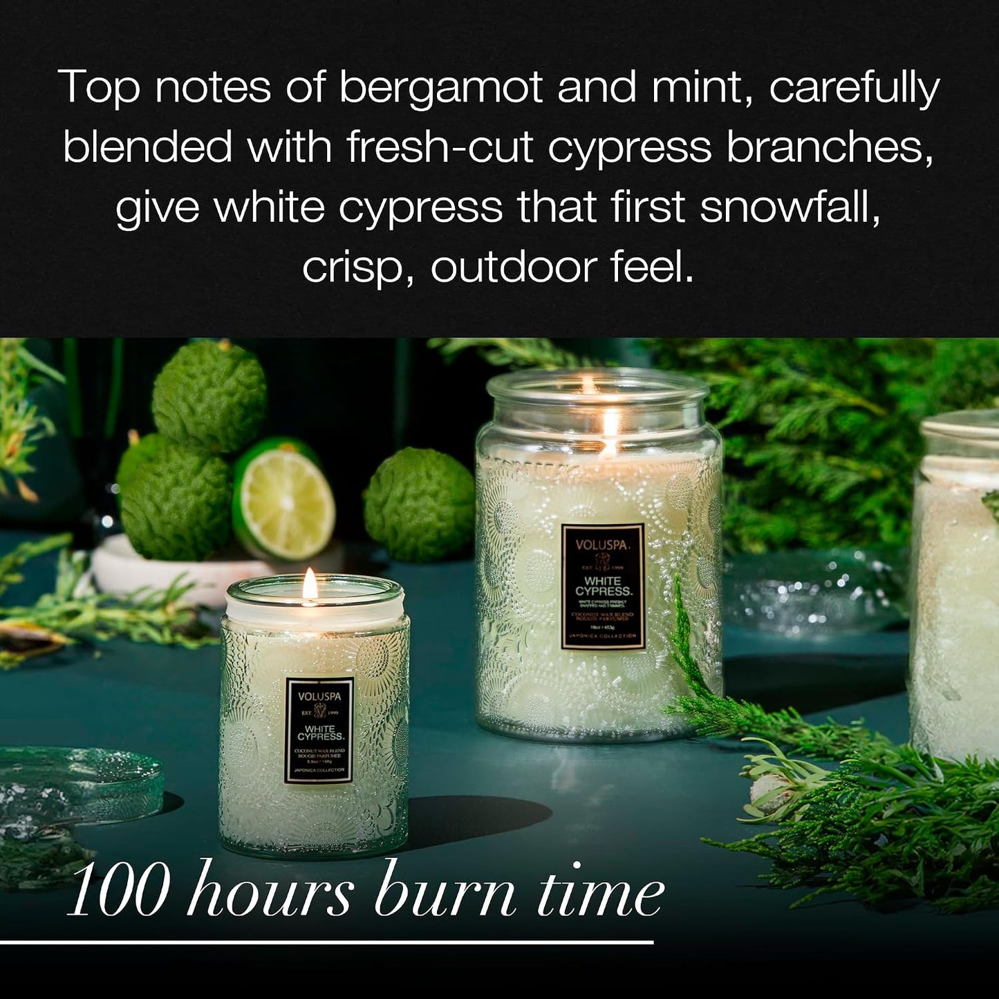Voluspa Baltic Amber Candle, 18 oz, Coconut Wax Blend, Scented Candles for Home, 100 Hour Burn Time, Candle Jar
