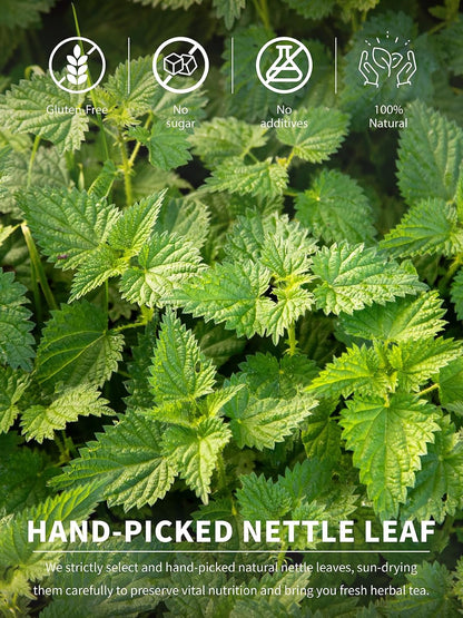 TeeLux Nettle Leaf Tea Bags, Stinging Nettle Tea, Caffeine Free, 100 Count