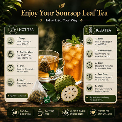 WOTIHA Premium Soursop Tea Bags (65 Count) - 100% Natural Graviola Leaves Made With Corn Fiber Tea Bag Food-Grade Biodegradable Herbal Tea - Sugar/Caffeine/Gluten Free Hoja Guanabana