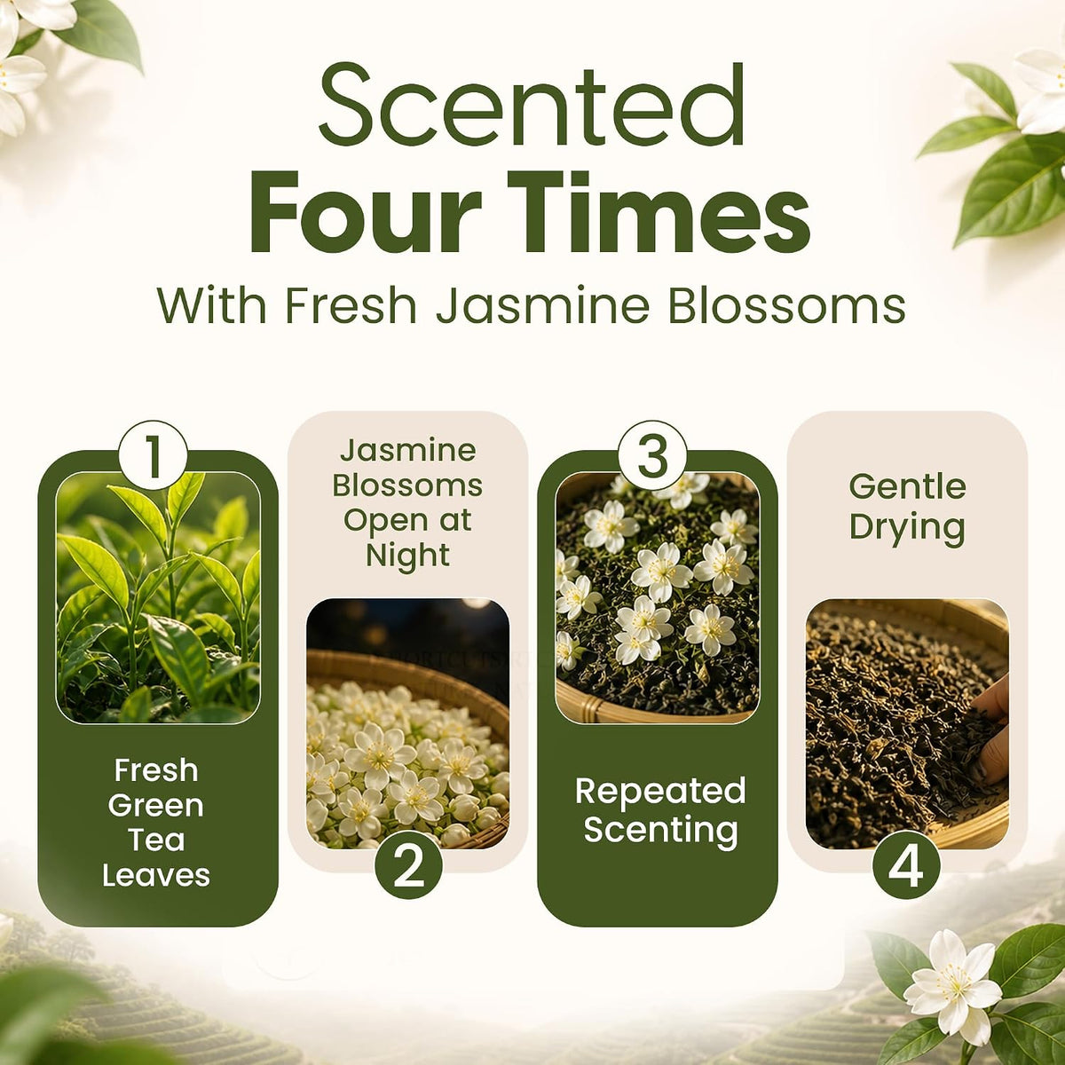 Wu Mountain Tea Organic Jasmine Green Tea – 1 lb Loose Leaf – USDA Organic Chinese Green Tea Scented with Jasmine Blossoms – Smooth Floral Aroma, Clean Finish, No Additives – Hot or Iced Tea