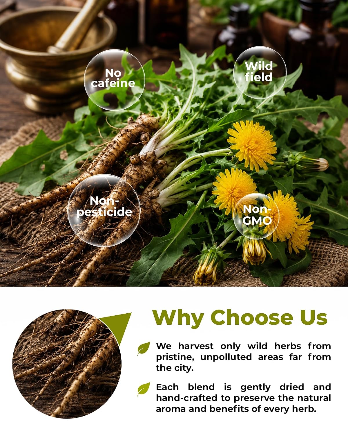 100 Bags Dandelion Root Tea Dandelion Tea Herbal (Taraxacum Officinale) - 100 Count 1.5g Bags Dried Herb Raíz De Diente De León