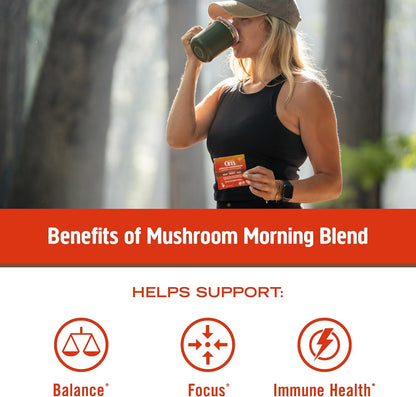 OM MUSHROOM SUPERFOOD Matcha Latte Blend – Green Tea Mushroom Powder with Lion’s Mane, Reishi, Chaga & Turkey Tail – Focus, Calm & Stress Support – 8.47 oz Canister (30 Servings)