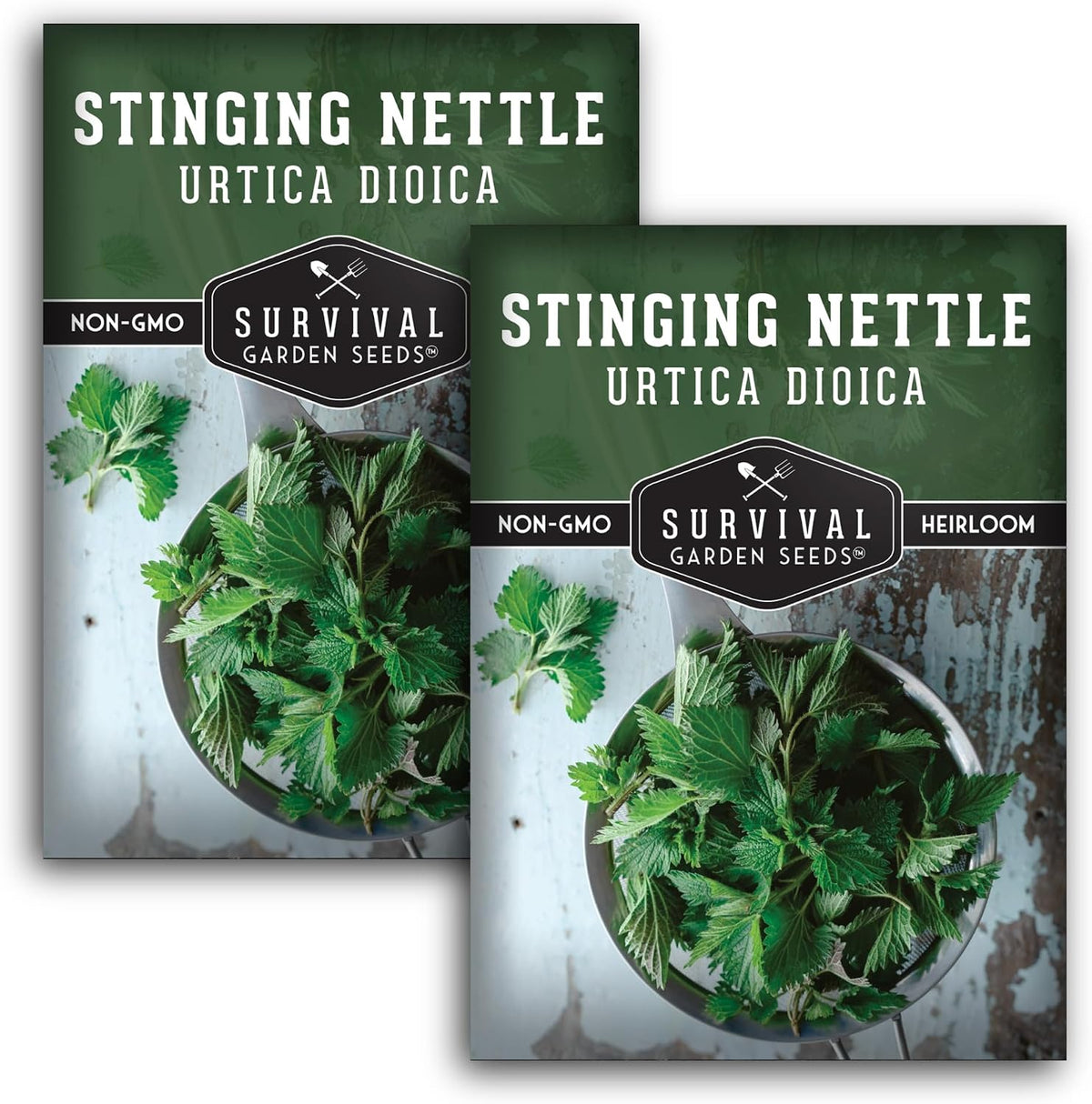 Stinging Nettle Seeds for Planting - 2 Packs