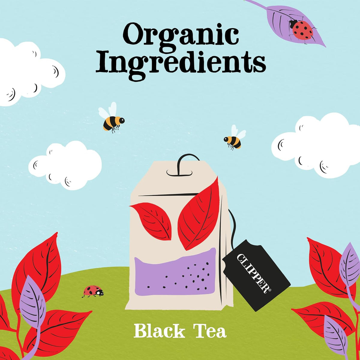 Clipper Tea, Organic English Breakfast Tea, 80 Tea Bags
