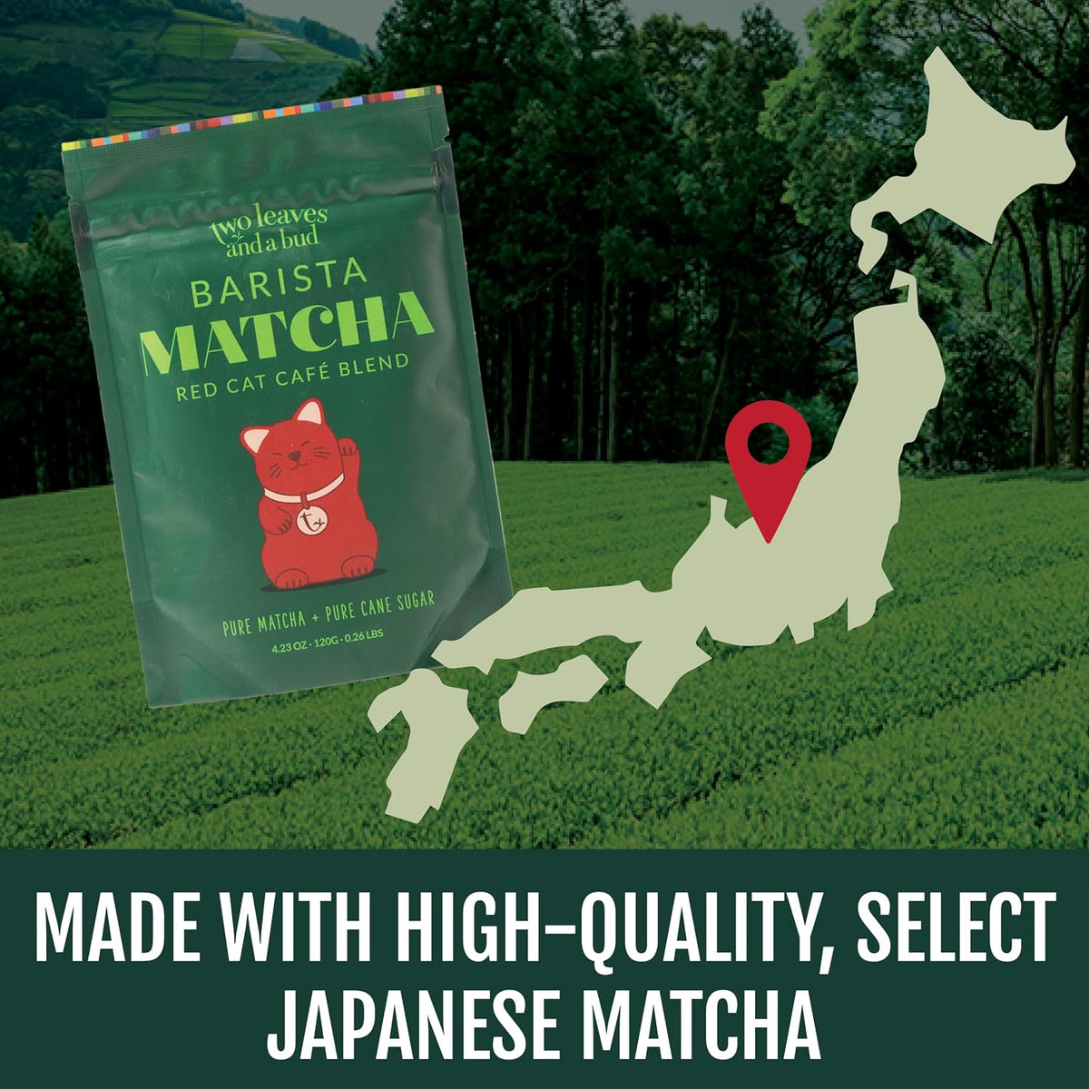 Two Leaves and a Bud Barista Matcha Sweetened Latte Blend, 120g (Pack of 2)