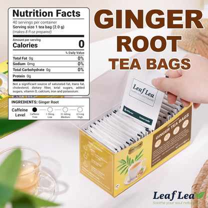 LeafLea Ginger Root Tea Bags, Real Ginger Herbal Tea, 80 Count