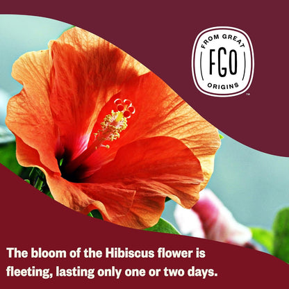 FGO Organic Lemon Balm Tea, 100 Count, Eco-Conscious Herbal Tea Bags, Resealable Bag, Caffeine Free, Packaging May Vary (Pack of 1)