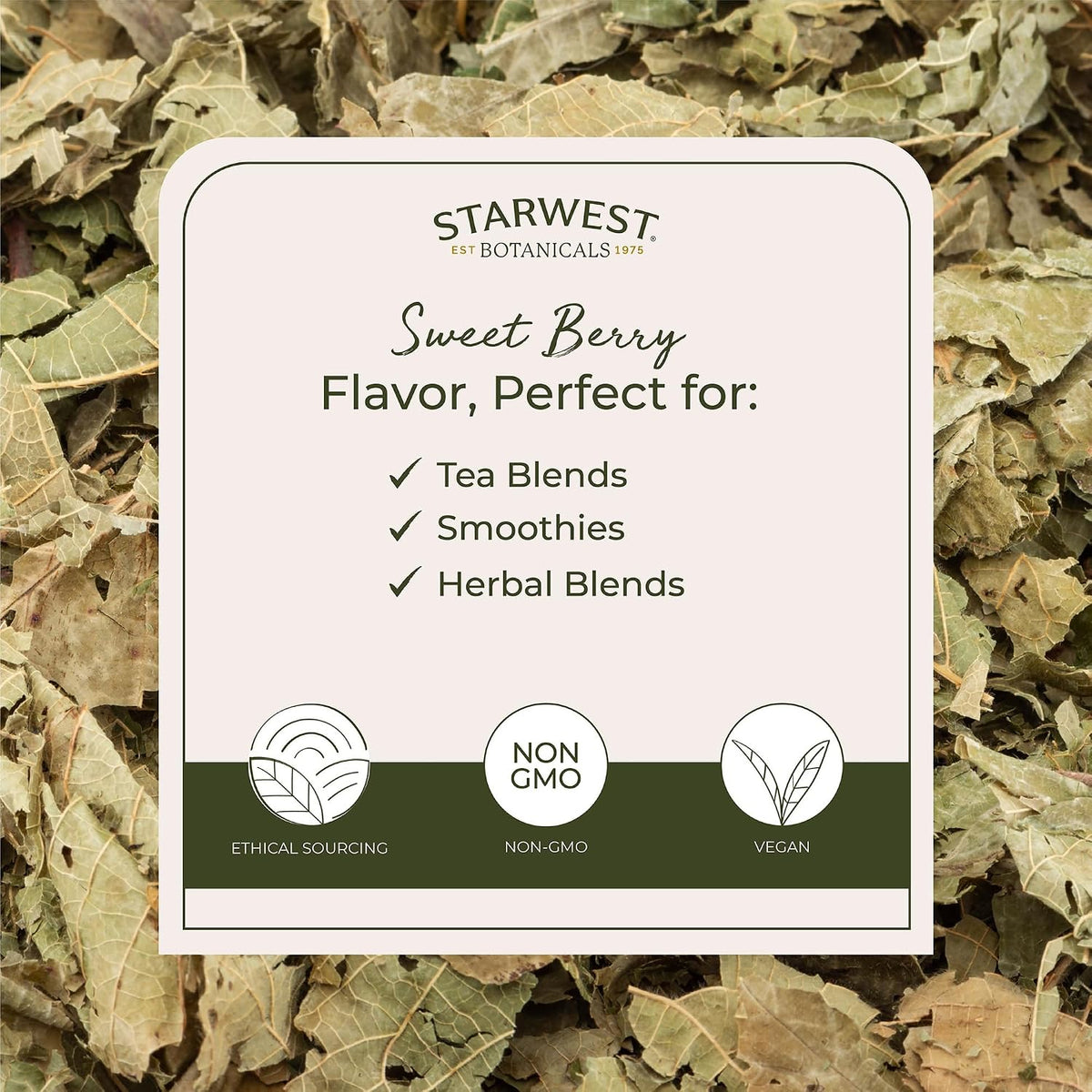 Starwest Botanicals Organic Raspberry Leaf, Cut & Sifted - Bulk 1 lb Bag