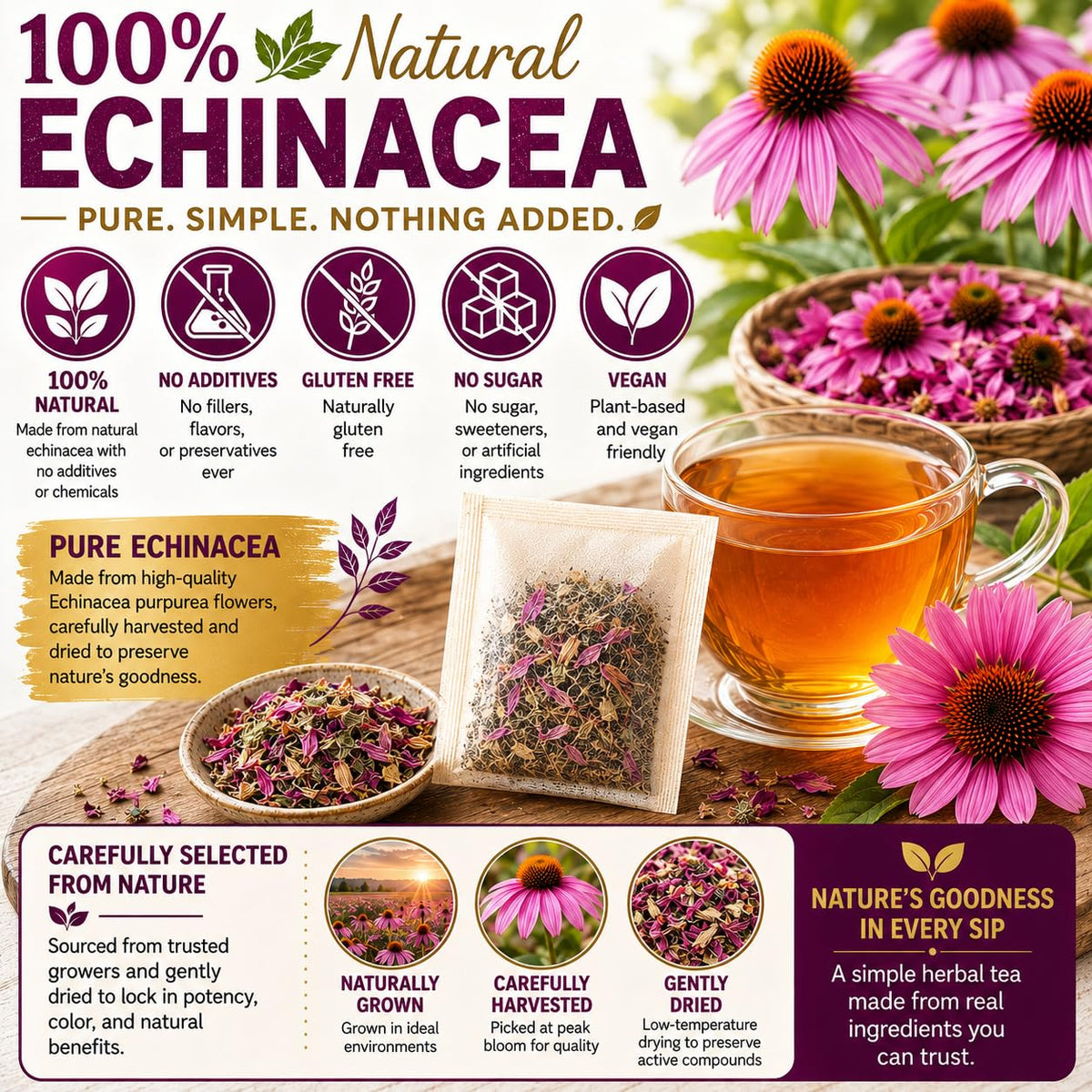 WOTIHA Echinacea Tea Bags, 60 Count, Pure Herbal Infusion, Caffeine Free