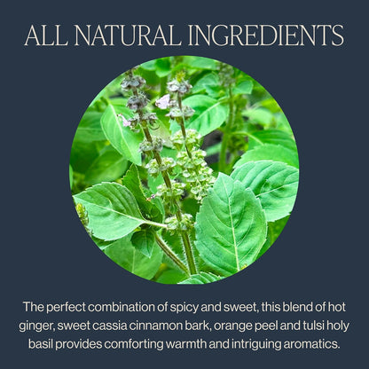 Rishi Tea Cinnamon Tulsi Spice Organic Herbal Tea Bags, Caffeine Free, 15ct