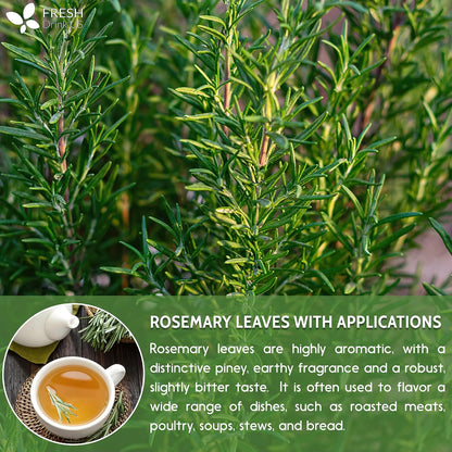 FreshDrinkUS, Premium 60 Chamomile Lavender Tea Bags, Calming Herbal Blend Strong Support for Relaxation & Better Sleep | Naturally Caffeine-Free Bedtime Tea with Soothing Floral Aroma, 100% Natural, Hand-made No Sugar/ Caffeine/ Gluten, Vegan - Colors B