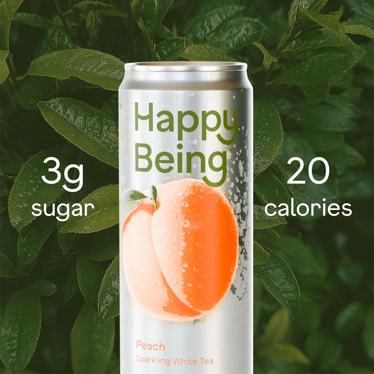 Happy Being Peach Sparkling White Tea, Antioxidant, 12oz 4 Pack