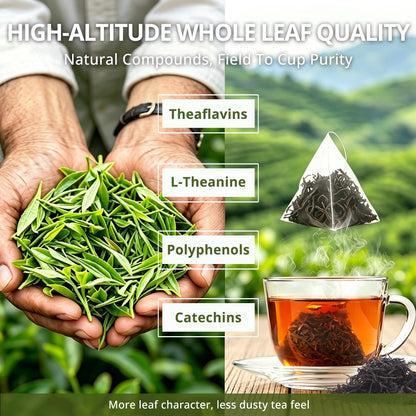 Oolong Tea Bags – Yunnan High-Mountain Oolong Whole Leaf Tea Bags,25 Bags (4g Each) –Cortisol & Calming Tea for Stress Relief,Digestion & Metabolism,Loose Leaf Oolong Tea, Smooth Aroma,Low-Astringency
