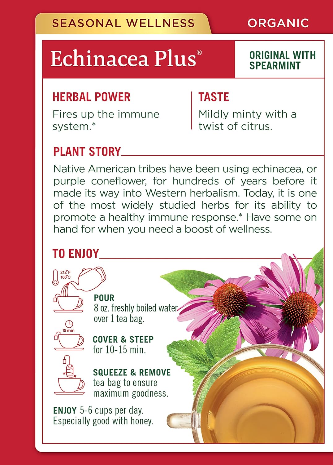 TRADITIONAL MEDICINALS Echinacea Plus Tea,16 Count (Pack of 2)
