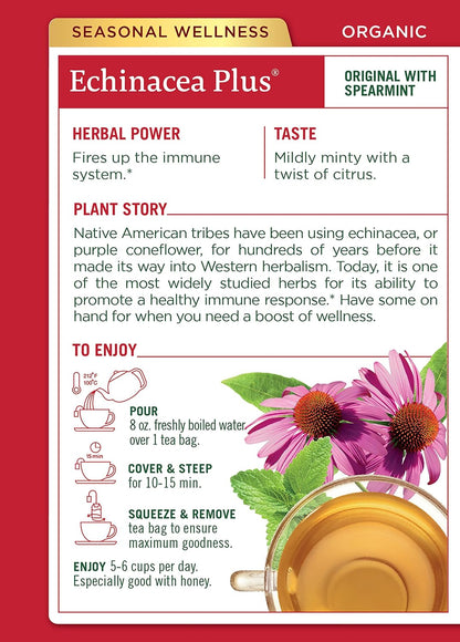 Traditional Medicinals Organic Echinacea Plus with Spearmint Herbal Tea, Promotes Immune Function, (Pack of 3) - 48 Tea Bags Total