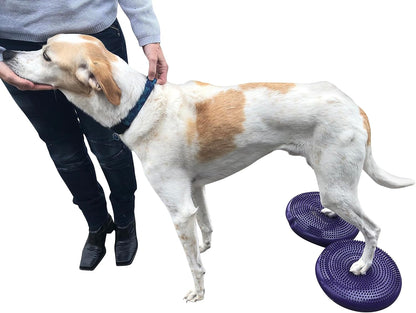 DEZAL Dog Balance Disc Cushion 14" - With 2 Exercises and Pump - Dog rehab Exercise Strength Endurance Conditioning Fitness Flexibility Rehabilitation Physical Training Tool for Senior Dogs