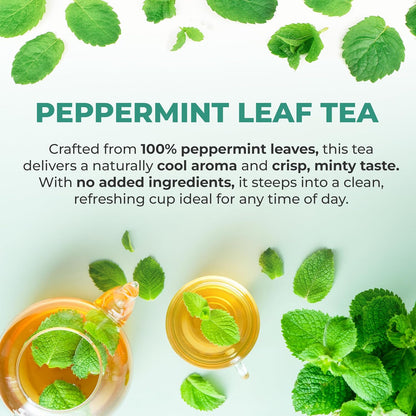 LeafLea Peppermint Tea Bags, Pure Peppermint Leaf Tea, 80 Count, 2-Pack