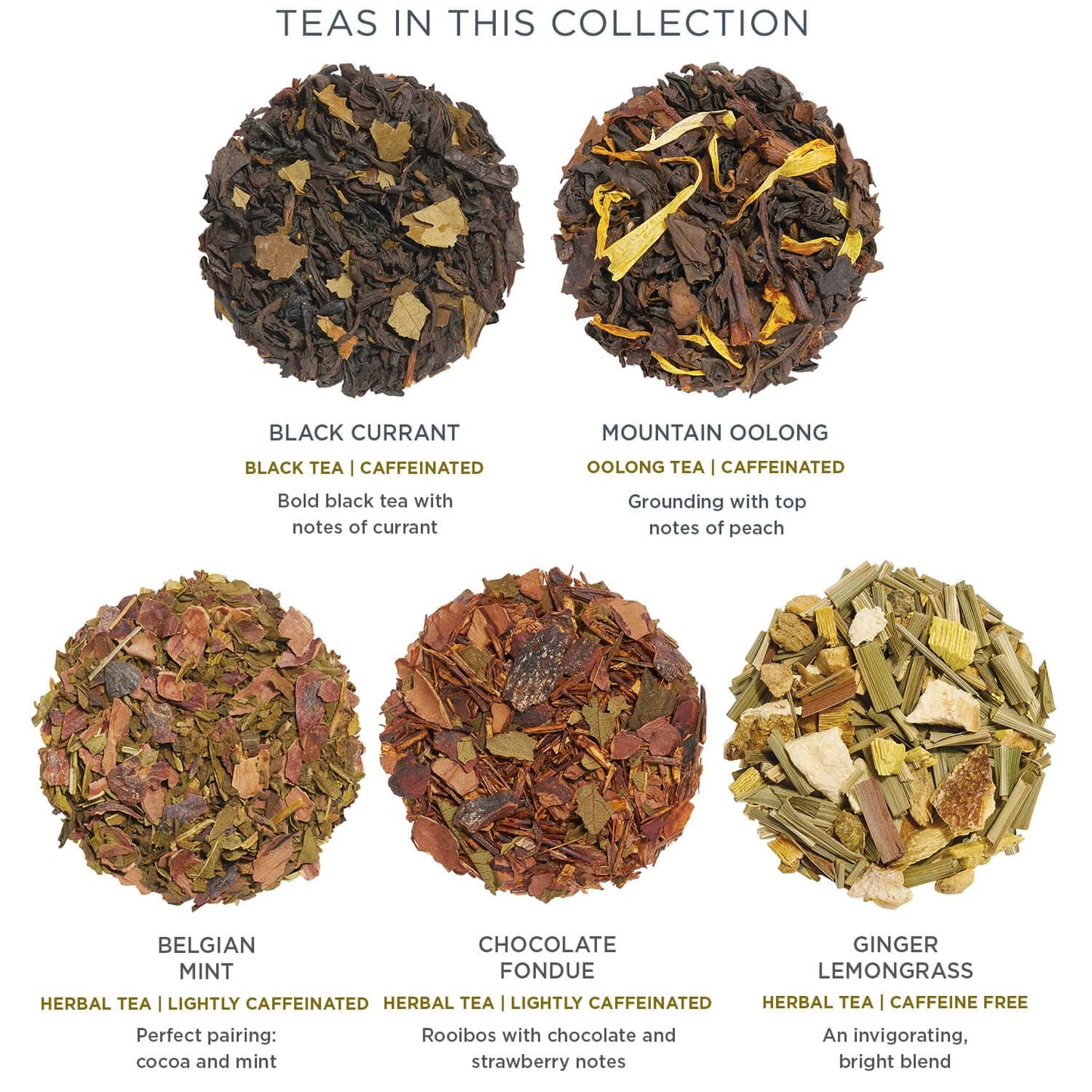 Tea Forte Premium Presentation Box Gift Set Sampler, 20 Count, Assorted Blends Individually Wrapped Handcrafted Pyramid Infuser Bags, Frank Lloyd Wright