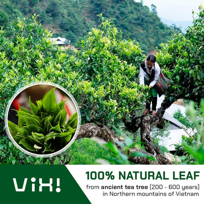 VIXI Oolong Tea Bags, 100 Counts, Vietnam's Mountain Tea, Taste Better than Tee Grown on Farm, 100% Natural from Ancient Tee Tree, Premium Olong Flavor for Hot and Cold Brew