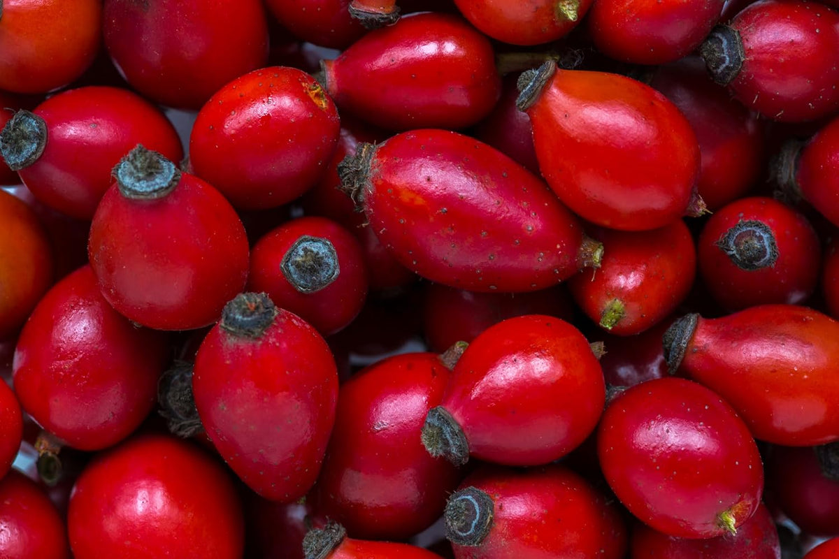 Rose Hips Tea - 1 LB (16 oz) | Real Wild Harvest | 100% USDA Certified Organic | Cut and Sifted Albanian Rose Hips Shells | Aroma-Rich Seedless Rosehip (rosa canina fructus) | By U.S. Wellness Naturals