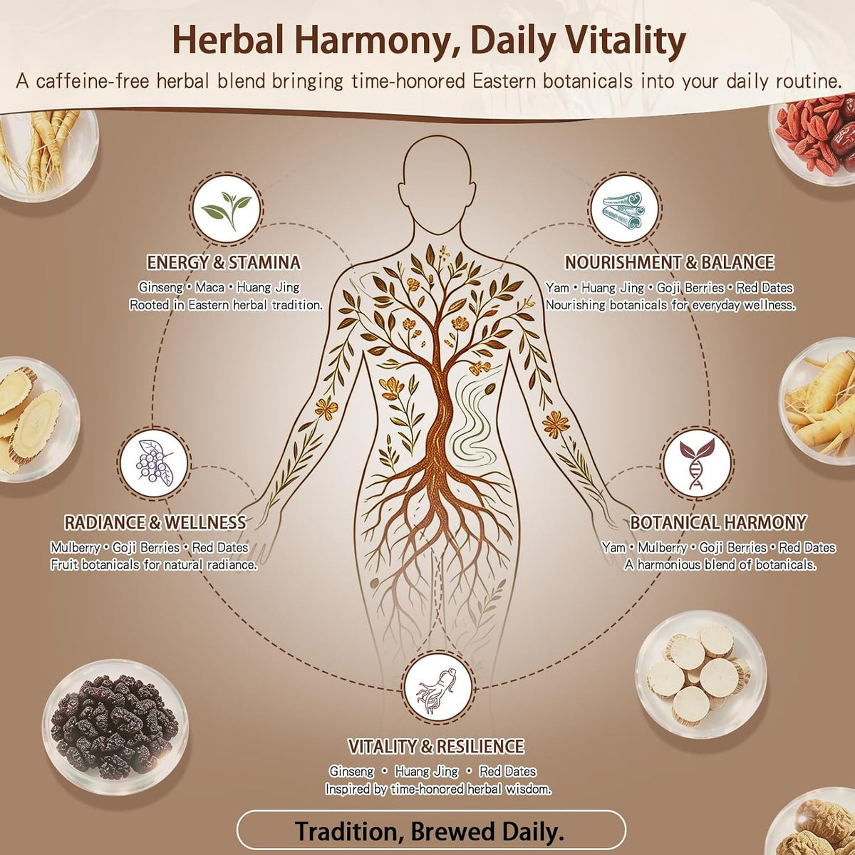 Ginseng Five Treasures Kidney Tea, Traditional Chinese Herbal TeaBags, Natural Kidney Cleanse Detox Tea for Women & Men, 7 Precious Ingredients Formula(1 Pack/25 Bags)