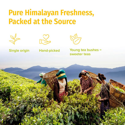 NEPAL TEA Organic White Tea Loose Leaf - USDA Certified Organic from a Family Farm in the Himalayas - Award-Winning Premium Tea Leaves to Enjoy Hot or Cold – 3.5oz /100g (White Prakash)