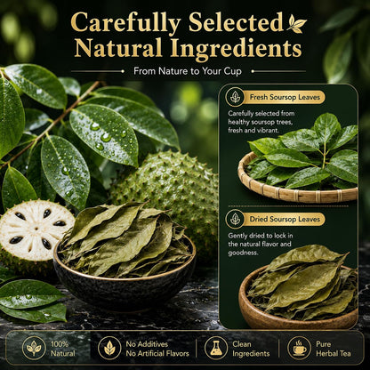 WOTIHA Premium Soursop Tea Bags (65 Count) - 100% Natural Graviola Leaves Made With Corn Fiber Tea Bag Food-Grade Biodegradable Herbal Tea - Sugar/Caffeine/Gluten Free Hoja Guanabana