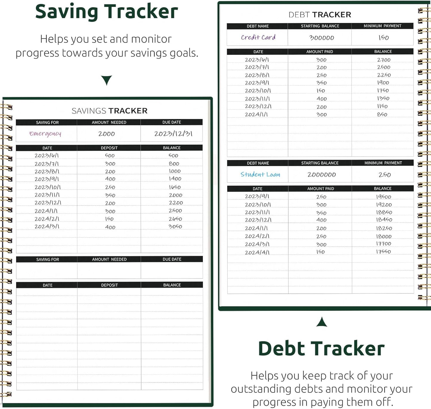 Budget Planner - Monthly Budget Book with Expense Tracker Notebook, Undated Bill Organizer & Finance Planner to Take Control of Your Money, Account Book to Manage Your Finances-Pink