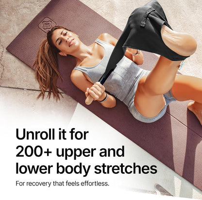 CastleFlexx Mobility and Full Body Strengthening Device