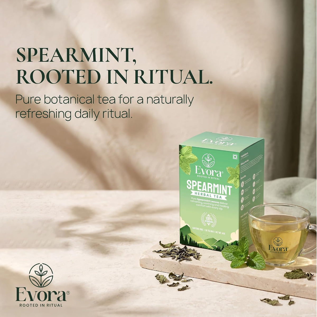 EVORA Spearmint Tea - 30 Double Chamber Bags of Dried Spearmint Tea Leaves
