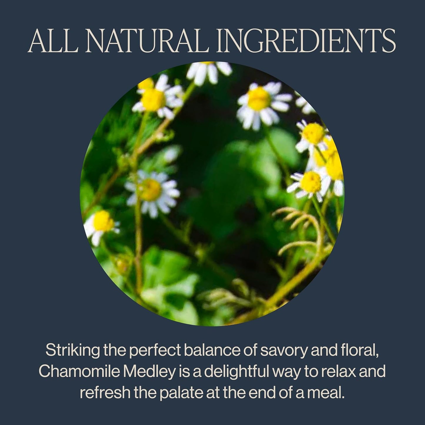 Rishi Tea Chamomile Medley Herbal Tea - Organic, Caffeine Free Sachet Bags, Calming Chamomile Flowers with Lemon Verbena & Mint - 15 Count (Pack of 1)