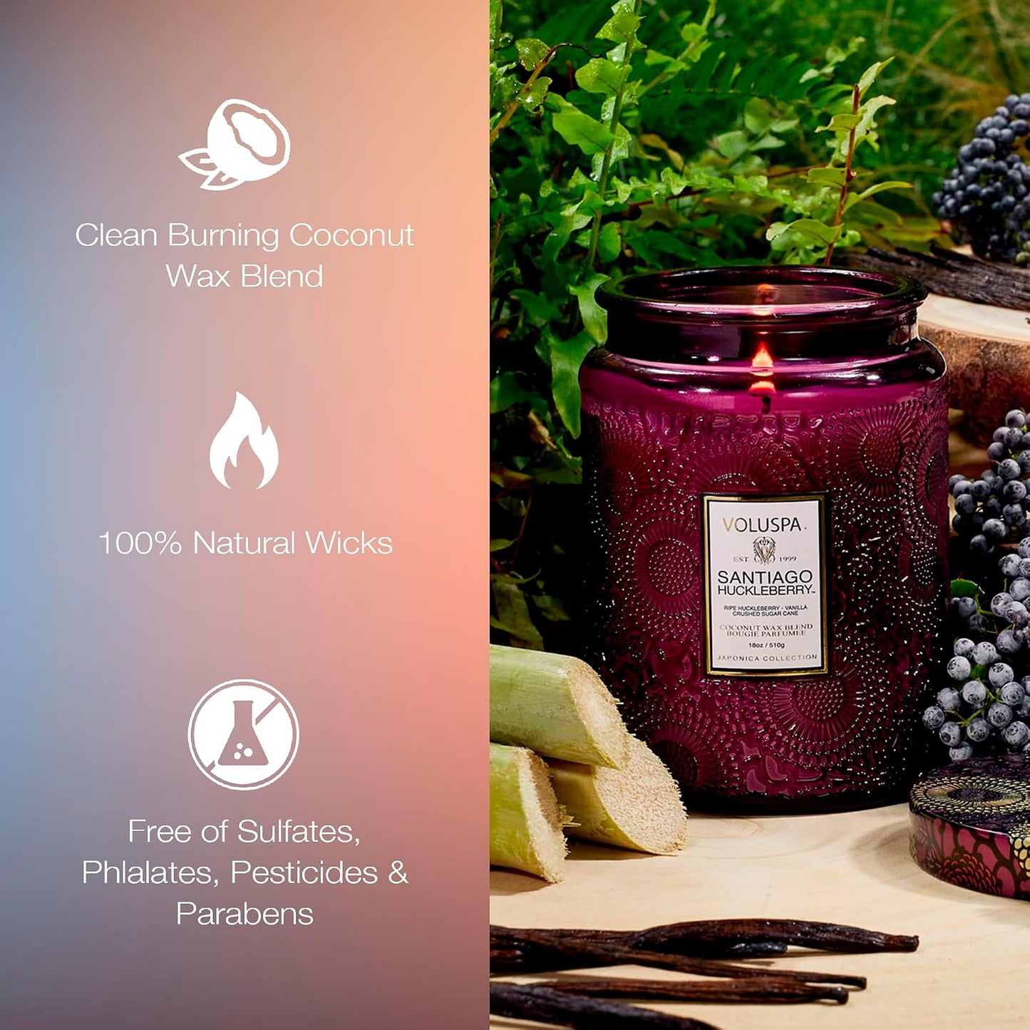 Voluspa Baltic Amber Candle, 18 oz, Coconut Wax Blend, Scented Candles for Home, 100 Hour Burn Time, Candle Jar