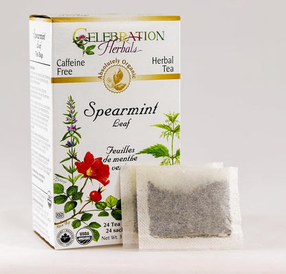 CELEBRATION HERBALS Spearmint Leaf Tea Organic 24 Bag, 0.02 Pound