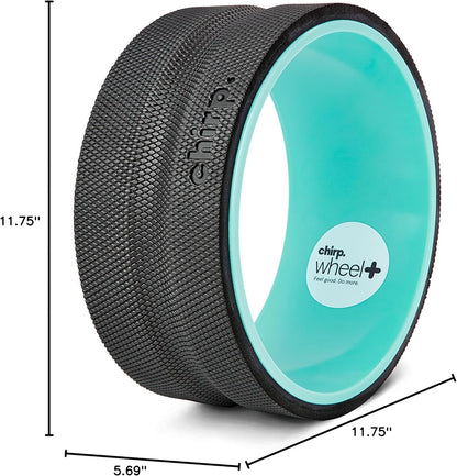 Chirp Wheel Foam Roller - Targeted Back & Neck Pain Relief, Muscle Massage, Trigger Point Therapy, High-Density Foam Tool for Physical Therapy, Stretching & Exercise, 500lbs Capacity, 12-Inch Mint
