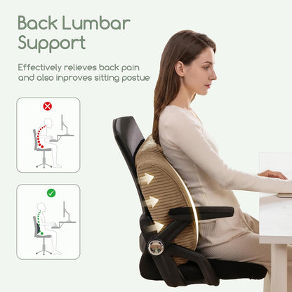 HIGOGOGO Lumbar Support Pillow for Recliner Chair/Accent Chair/Couch, Memory Foam Back Support Cushion for Elderly, Recliner Cushions for Back Rest, Pain Relief, Reading, Washable Cover, Dark Grey