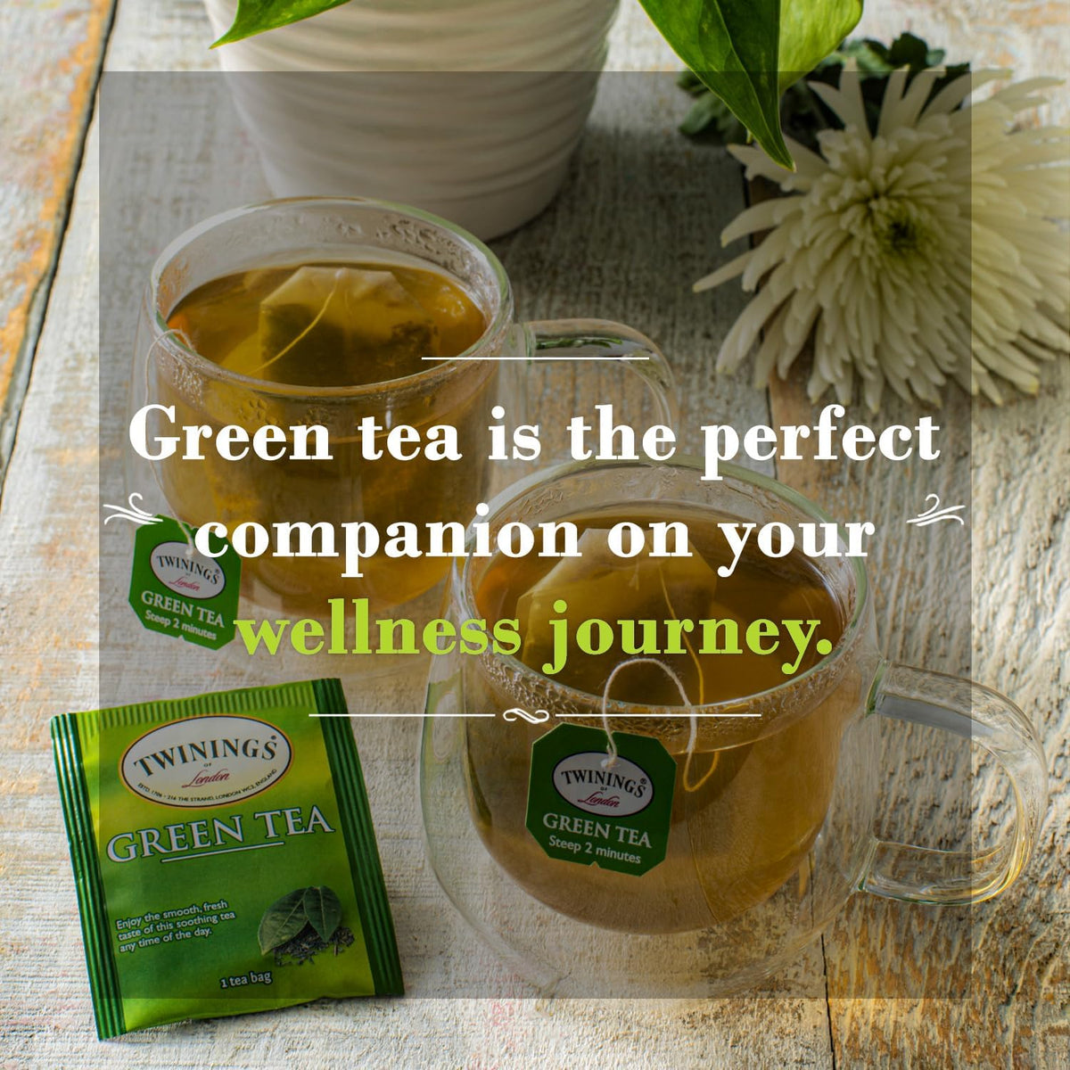 Twinings Green Tea Bags - Caffeinated Tea Made from Fresh Green Tea Leaves, Perfect for Hot or Iced Tea, 50 Count