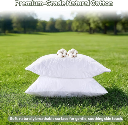 CoolShields Pillow Protector (2 Pack) Standard – Waterproof Zippered Pillow Covers, Hypoallergenic, Premium Pillowcase Encasement for Better Sleep