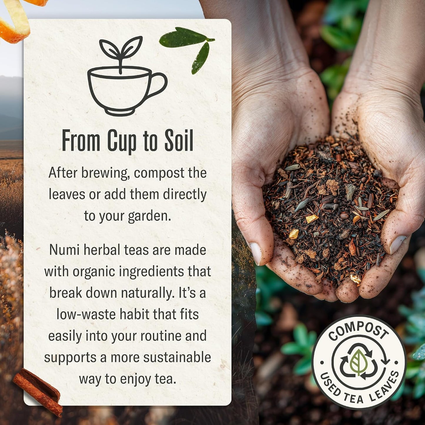 Numi Organic Rooibos Chai Tea, 100 Tea Bags, Herbal Red Tea with Cinnamon, Allspice, Ginger & Cardamom, Caffeine Free Chai